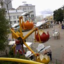 ���� �������, �����������, 59 ��� - ��������� 2 �������� 2016 � ������ �� ������������ 2016�
