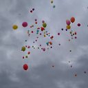 ���� �����, ����������, 52 ���� - ��������� 25 ���� 2016 � ������ ���� ����������