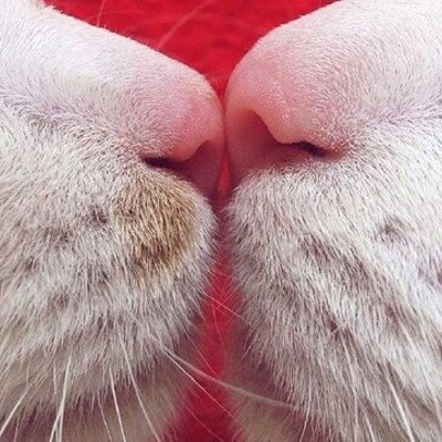 ������ ������� ������. ������� �����, ����������� ��������, �������� ������� � ������� �����, ... - 5