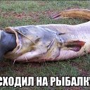 ���� ����, ���� - ��������� 6 ���� 2016 � ������ ������ ��������