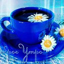 ���� ���������, ��������, 40 ��� - ��������� 25 ������ 2016 � ������ �������� ��������