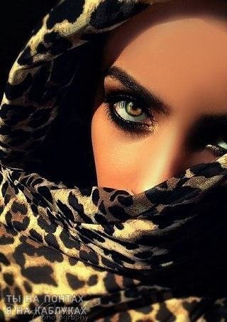 -   ...  , ,  ...    ....  ...