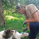 ���� �����, ������, 65 ��� - ��������� 3 ���� 2016 � ������ ���� ����������