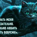���� �����, ���� - ��������� 1 ������ 2016 � ������ ������ ��������