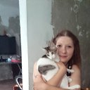 ���� �����, ����������, 41 ��� - ��������� 23 ���� 2016 � ������ ���� ����������