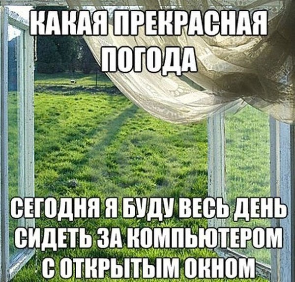 https://ok.ru/shkolaprikola