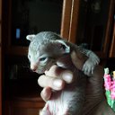 ���� ��������, �����-���������, 46 ��� - ��������� 16 ���� 2016