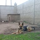 ���� �����, ������, 47 ��� - ��������� 29 ���� 2016