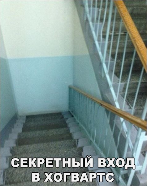     - 5  2016  11:29