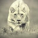 ���� ����, ������������, 50 ��� - ��������� 1 ������ 2016