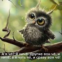 ���� ����, ������ - ��������� 26 ������� 2016 � ������ ������