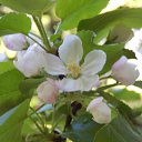 ���� ����, �����-���������, 57 ��� - ��������� 23 ��� 2016 � ������ ��������