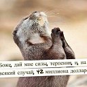 ���� Gena, ��������, 58 ��� - ��������� 2 ���� 2016 � ������ ������ ��������