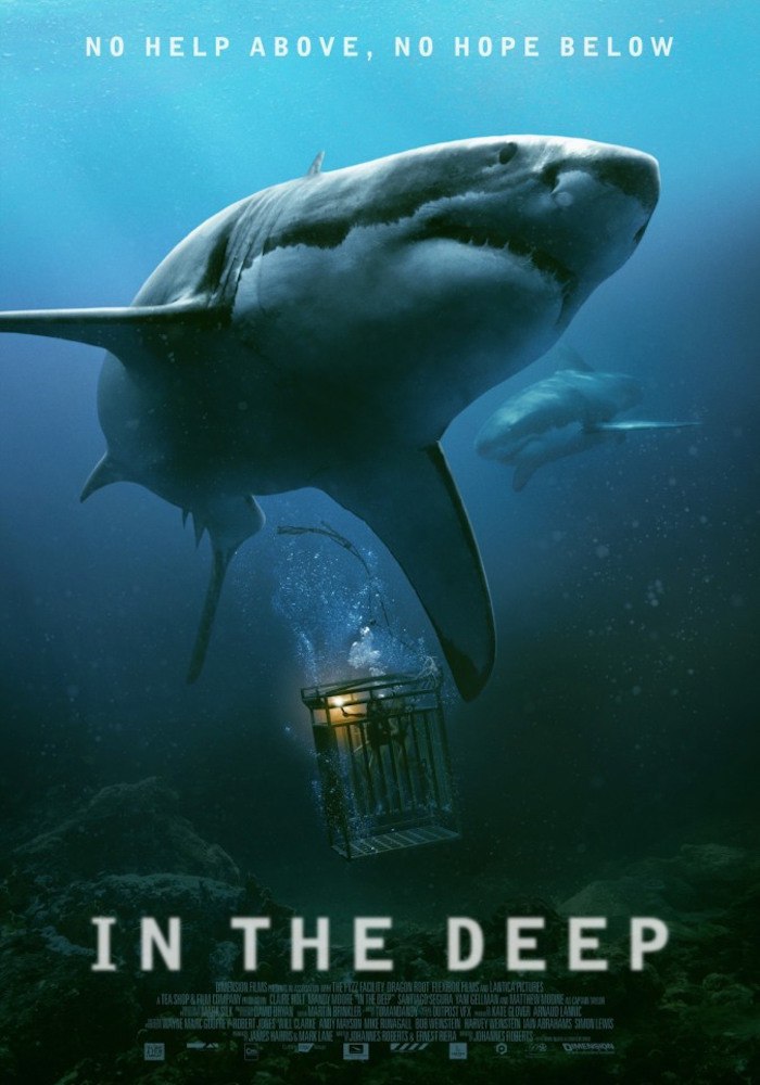 Страх глубины (2016).Страна: ВеликобританияЖанр: триллерРейтинги: IMDb: 5.5Режиссер: Йоханнес ...