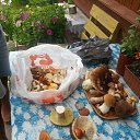 ���� ���������, ������-��-����, 51 ��� - ��������� 25 ���� 2016 � ������ ������ ��������