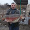 ���� ������, �������, 74 ���� - ��������� 1 ��� 2016