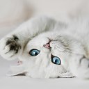 ���� �����, ������ - ��������� 29 ������ 2016 � ������ ���� ����������