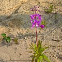 ���� U-jin, ������, 54 ���� - ��������� 11 ������� 2016 � ������ ������� ������ �����