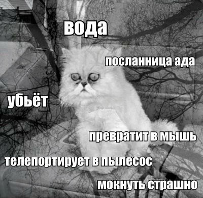   - 2