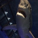 ���� ~Tatyana~, ��������� - ��������� 2 �������� 2016 � ������ ������ 2016�