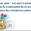 ���� �����, ������, 38 ��� - ��������� 18 ��� 2016 � ������ ������ ��������