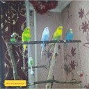 ���� �����, ����-������ - ��������� 11 ���� 2016 � ������ ���� �����