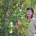 ���� �����, ����-���, 53 ���� - ��������� 13 ���� 2016 � ������ ���� ����������