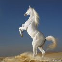  , , 53  -  8  2016   