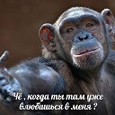 ���� ���������, ������, 56 ��� - ��������� 11 ������� 2016 � ������ ���� ����������