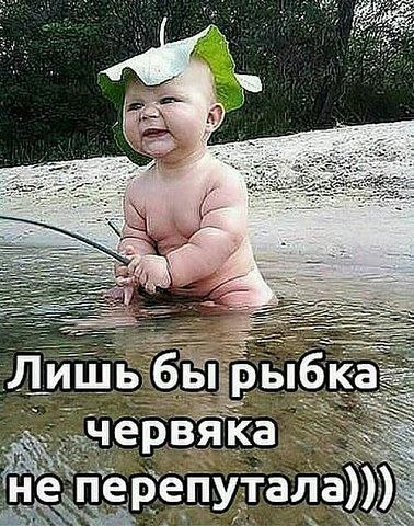 ���� - 11 ��� 2016 � 08:43
