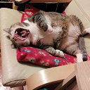 ���� ������, ������ - ��������� 17 ������ 2016