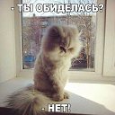 ���� ����, ������� - ��������� 11 ������ 2016 � ������ ��������