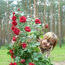  ,  -  24  2016   &quot;  &quot;.. 2016