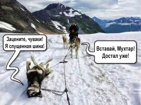    :D - 13  2016  22:31