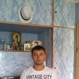 Fredi, ����, 41 ���