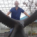 ���� ������, ����������� ���� - ��������� 5 �������� 2016 � ������ ���� ����������