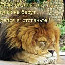 ���� ���� ����, �����-���������, 51 ��� - ��������� 8 ���� 2016 � ������ ������ ��������