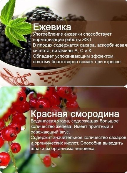      - 9