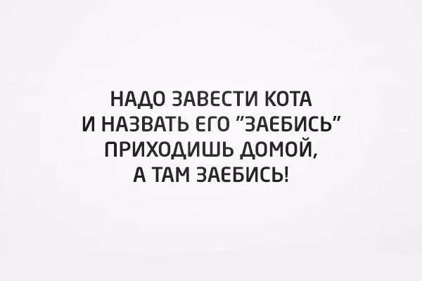  - 12  2016  11:40