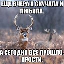 ���� ����, ���������, 56 ��� - ��������� 17 ���� 2016 � ������ ���� ����������