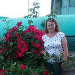 �����, �������, 53 ����