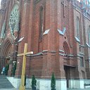 ���� ����, ������, 49 ��� - ��������� 21 ���� 2016 � ������ ������������� ���� � ������ (������) 3 ��� 2016�