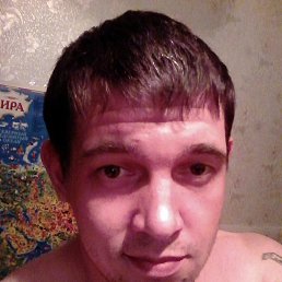 �����, ������������, 41 ���