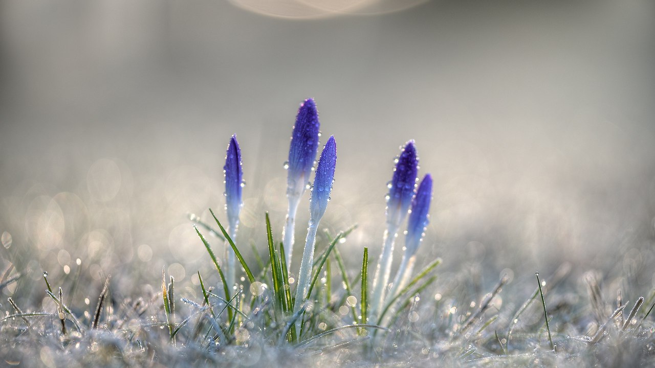 � �������� �����!!! ����! �������! ���������� ��! ������ �������� �����, Ҹ����� ����� ��������� � ... - 3