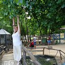 ��� ��� �� ��������� � ��������2016�. �� ������� ���� ����������