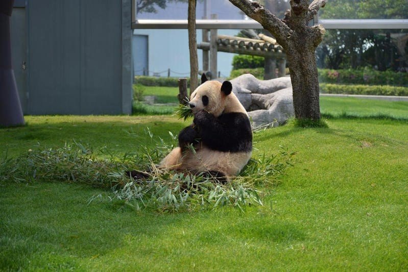 ���������� �������� �������� ����� ��������� �� ������.#animal@travel.blog - 4