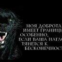���� ��������, ������, 49 ��� - ��������� 9 ���� 2016 � ������ ���� ����������