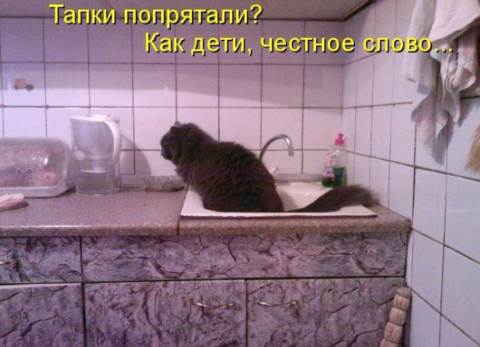 ��� ���� - 31 ���� 2016 � 18:47