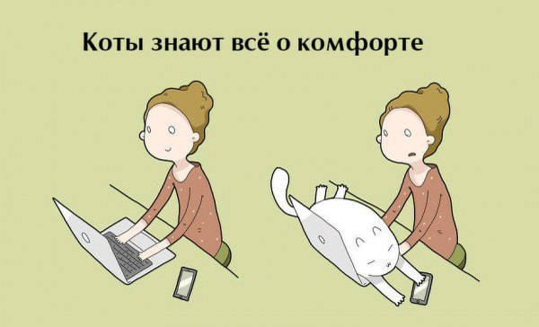 Десять плюсов жизни с котом - 7