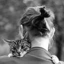 ���� �������, ���� - ��������� 21 ���� 2016